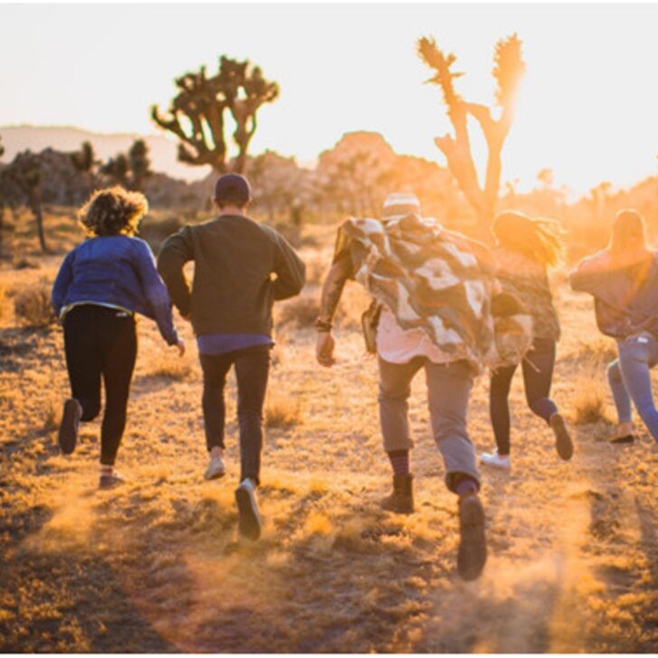 Principales diferencias entre el antinatalismo/efilismo y el utilitarismo negativo (Ética centrada en el sufrimiento de la comunidad de altruismo efectivo)
