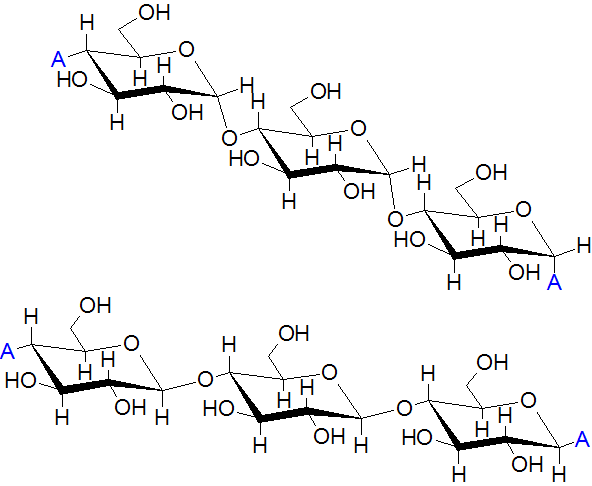 10 diferencias clave entre amilosa y celulosa con tabla