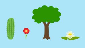 10 diferencias importantes entre plantas y árboles con mesa