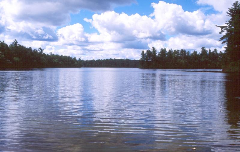 16 Diferencia clave entre lagos oligotróficos y eutróficos con tabla