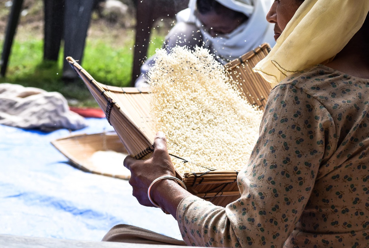 ¿Por qué los asiáticos prefieren el arroz blanco cuando el arroz integral es más saludable? 