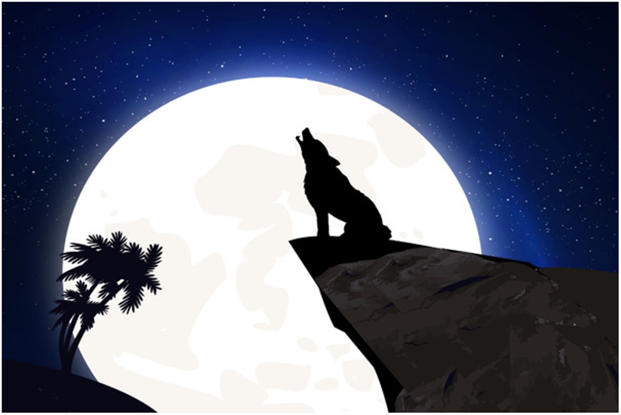 Yokai tiene el poder de transformar