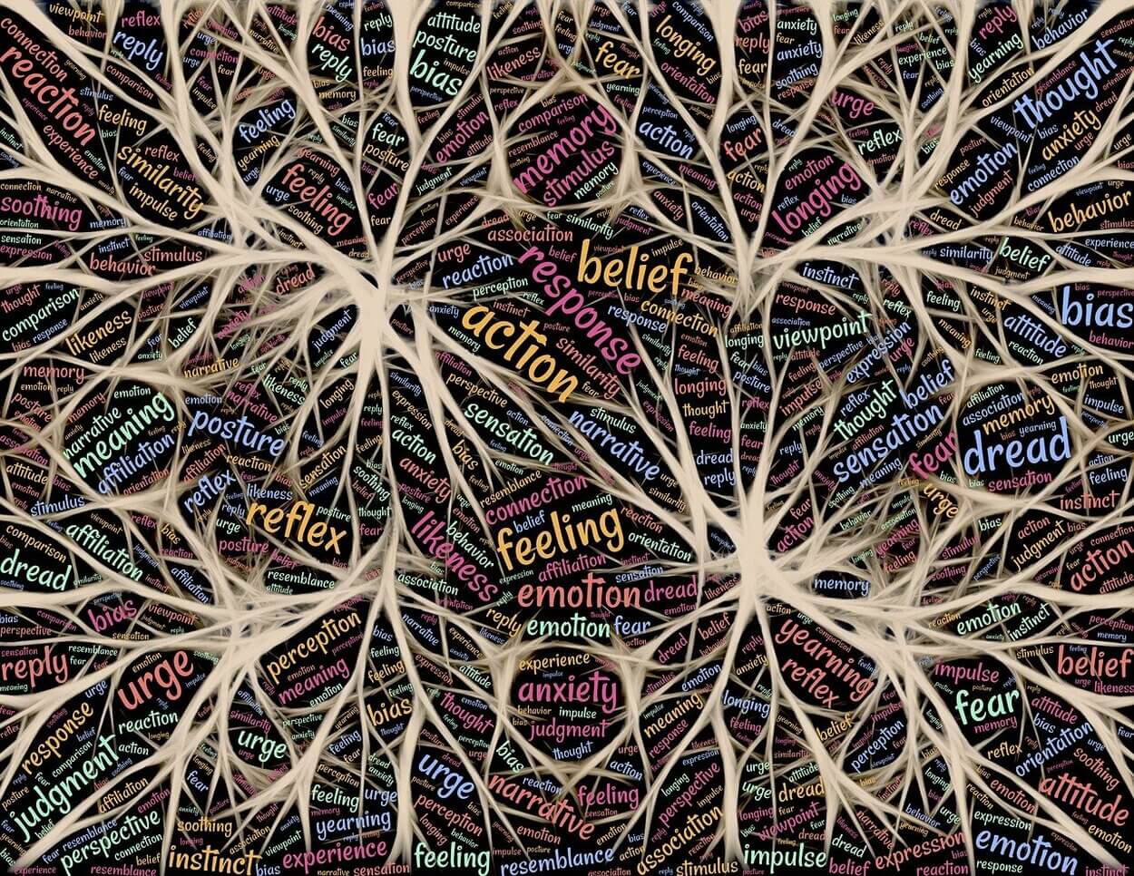 Ilustración gráfica de diferentes funciones del cerebro.