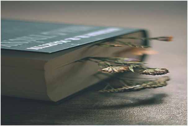 Libro Juego de Tronos