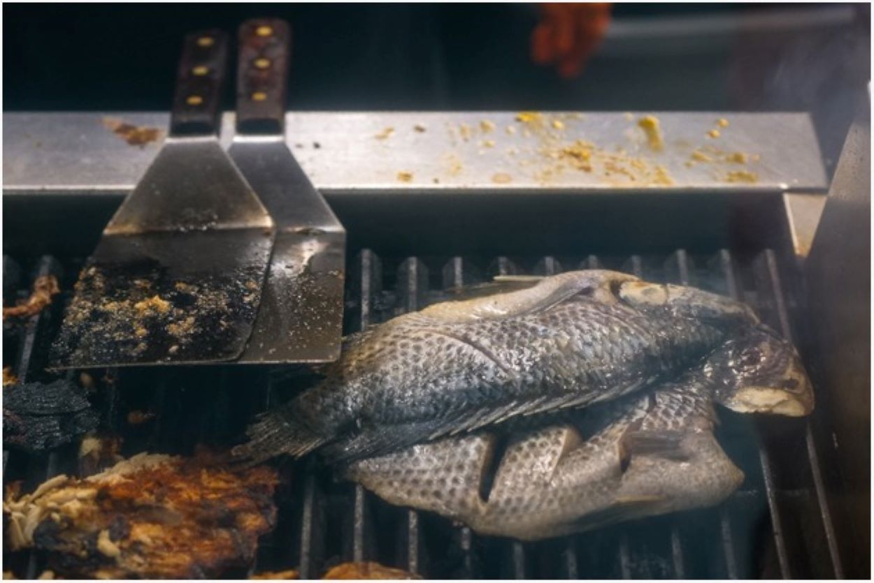 ¿Cuál es la diferencia entre la tilapia y el pescado swai, incluidos los aspectos nutricionales? – Todas las diferencias La tilapia a la parrilla es una excelente fuente de nutrientes