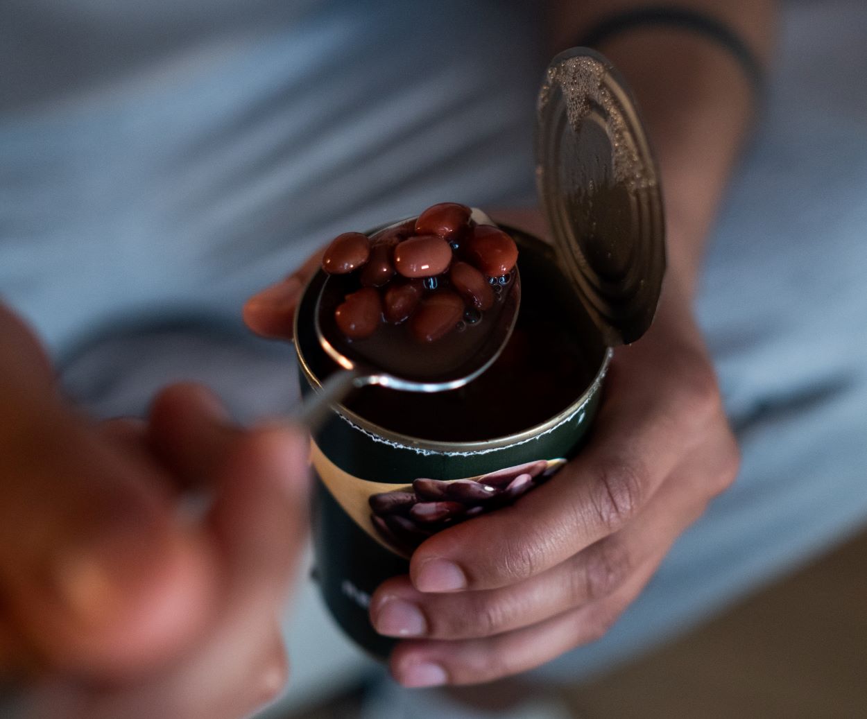 ¿Cuáles son las diferencias entre los frijoles picantes y los frijoles rojos y su uso en las recetas? (Distinguido) - Todas las diferencias Frijoles enlatados