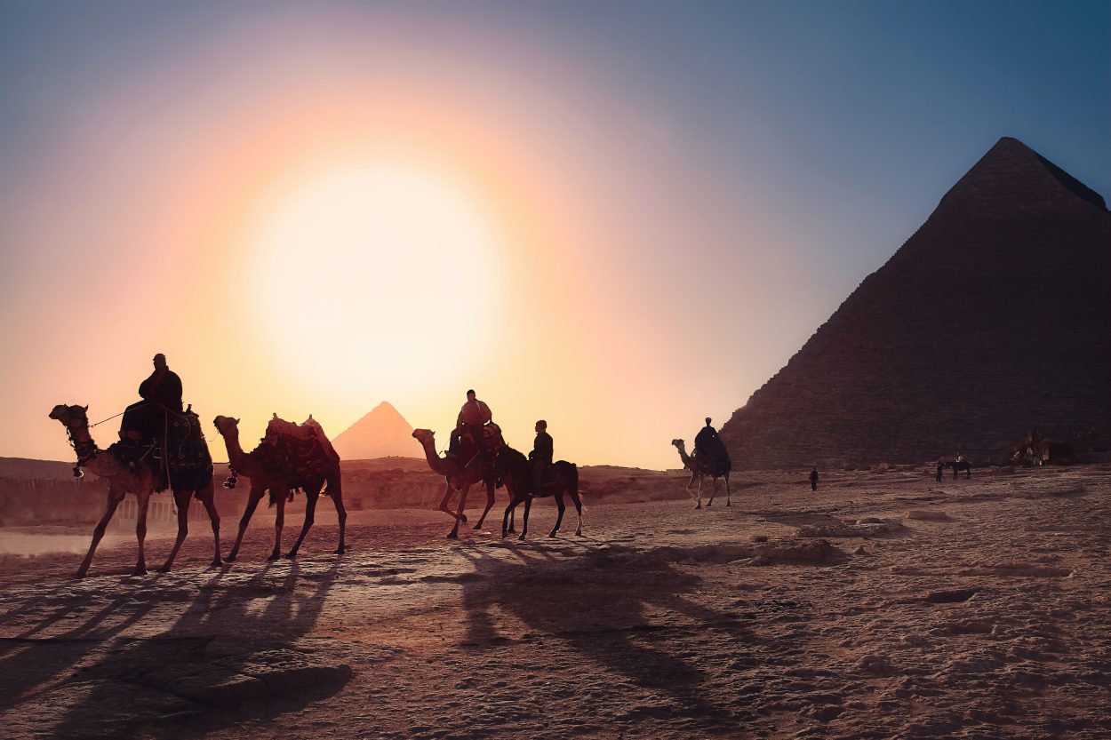 Camellos caminando frente a una pirámide