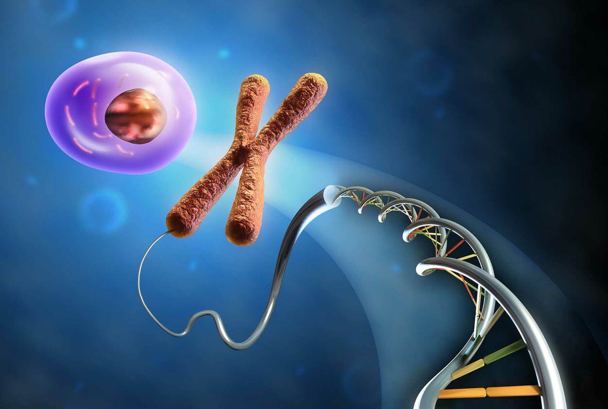 química vs biología