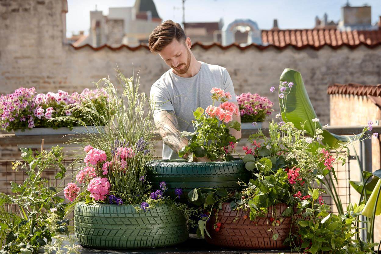 Un macho plantando flores en un neumático. 