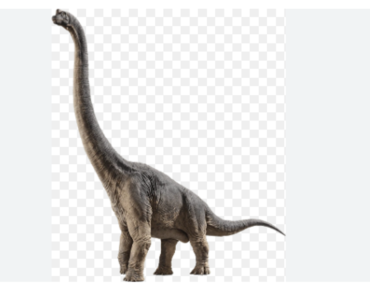 dinosaurio braquiosaurio