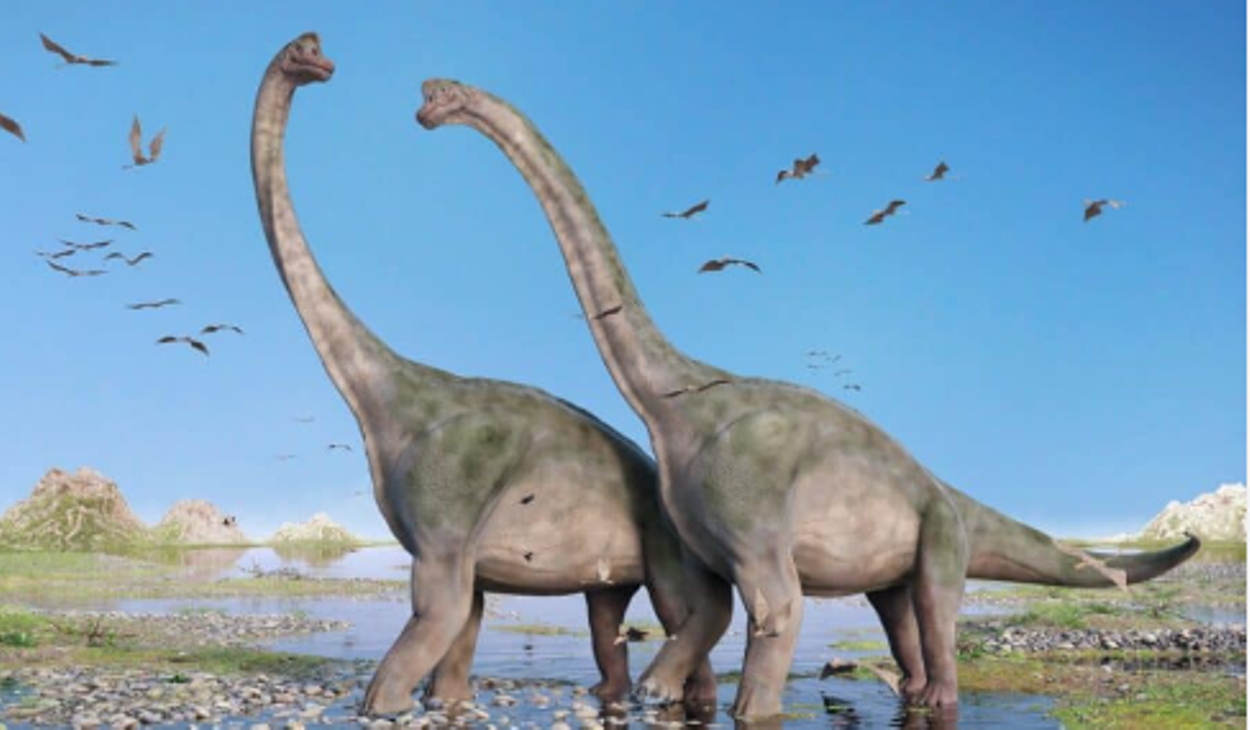 diplodocus y braquiosaurio