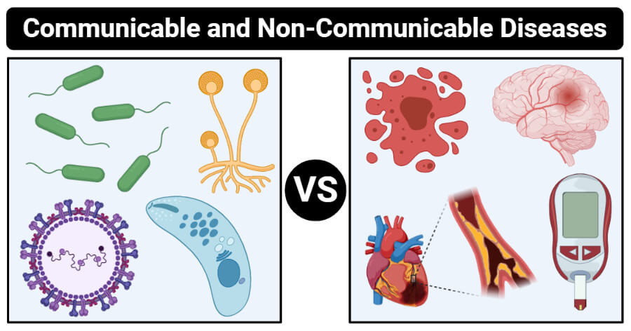17 Diferencia entre enfermedades transmisibles y no transmisibles con tabla Diferencia entre enfermedades transmisibles y no transmisibles