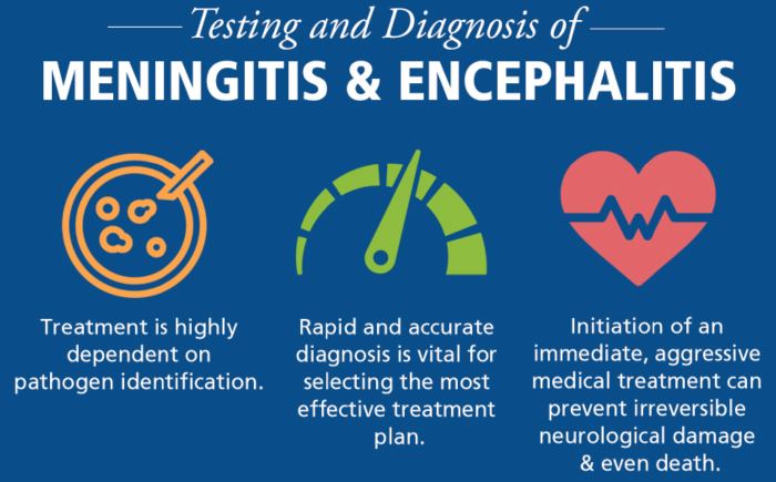 17 Diferencia entre meningitis y encefalitis con tabla Diferencia entre meningitis y encefalitis