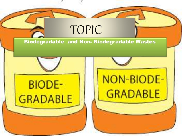 7 Diferencia básica entre sustancias biodegradables y no biodegradables