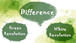 7 Diferencia entre revolución verde y blanca con explicación Diferencia entre revolución verde y blanca