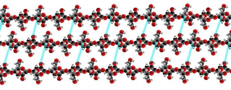 Diferencia entre celulosa, almidón y glucógeno