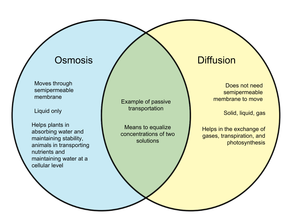 8 Diferencia importante entre difusión y ósmosis