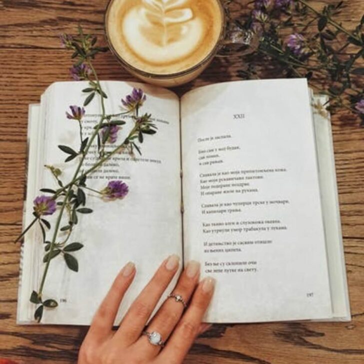 Canciones vs. Poemas (Comparación) – Todas las diferencias Canciones vs. Poemas (Comparación) – Todas las diferencias