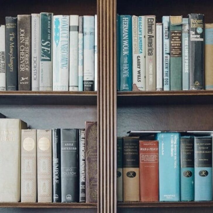 ¿Cuál es la diferencia entre una novela, una ficción y una no ficción? – Todas las diferencias ¿Cuál es la diferencia entre una novela, una ficción y una no ficción? – Todas las diferencias
