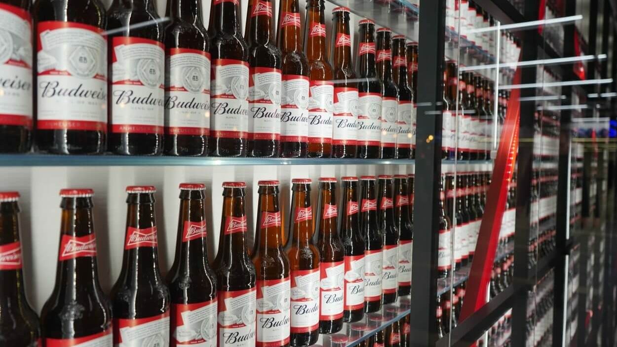 cerveza budweiser
