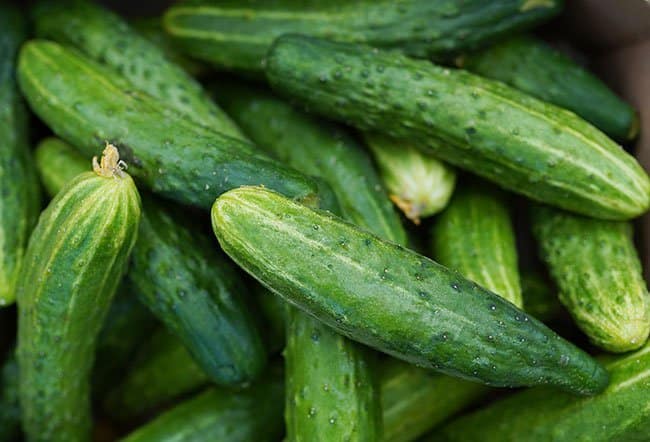 Calabacín vs Pepino: ¿Cuál es la diferencia? 1 pepinos