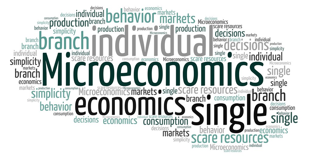 ¿Cuál es la diferencia entre microeconomía y macroeconomía? 1 microeconomía