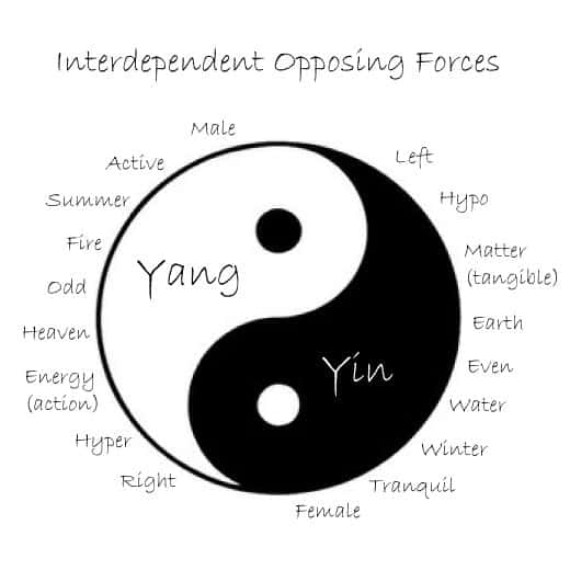 Diferencia entre Yin y Yang 1 Yin y yang