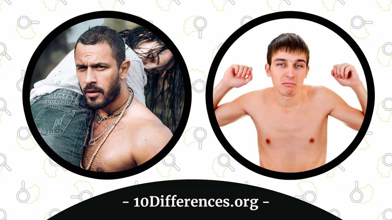 Diferencia entre macho alfa y macho beta