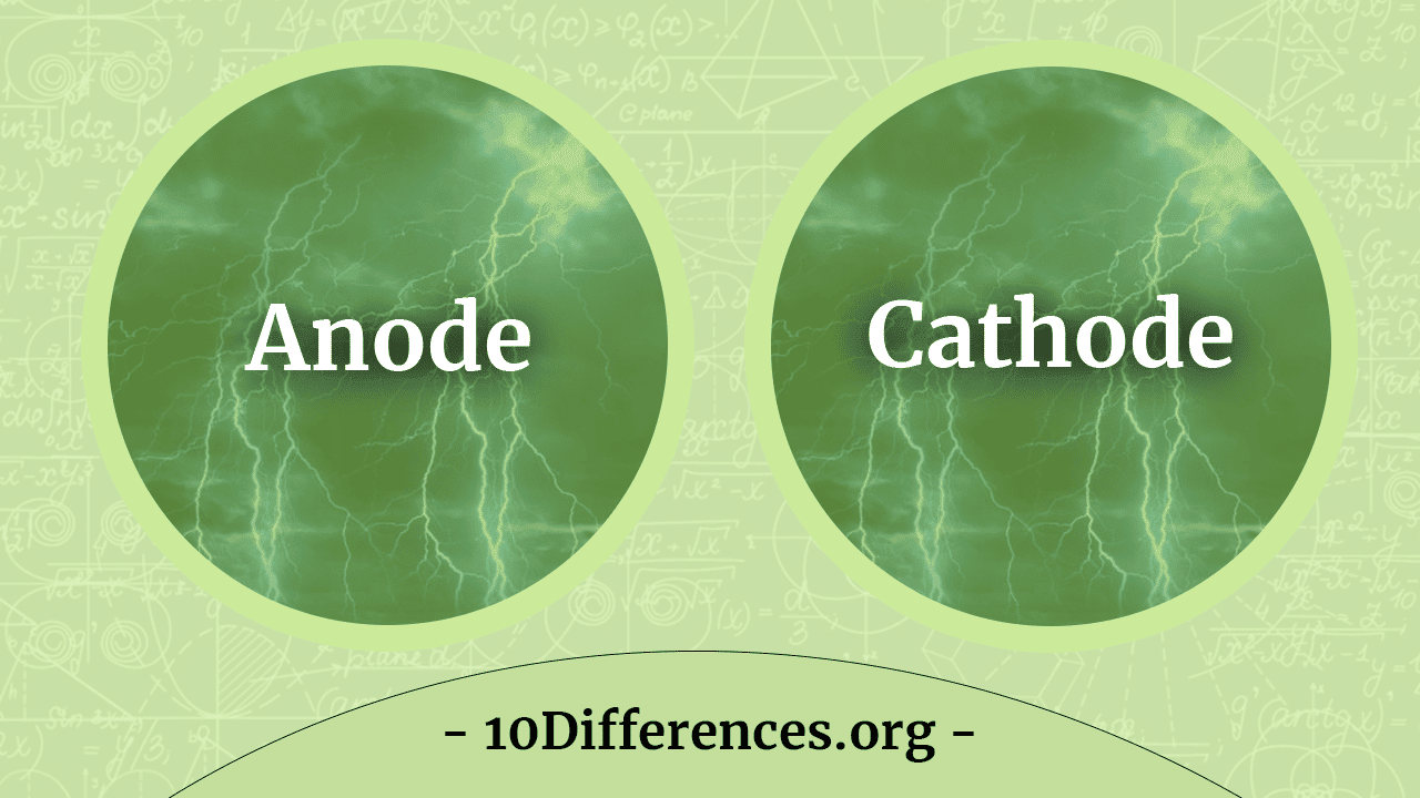 Diferencia entre ánodos y cátodos Diferencia entre ánodos y cátodos