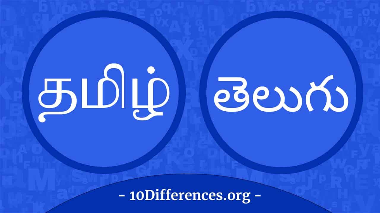 Diferencia entre tamil y telugu Diferencia entre tamil y telugu