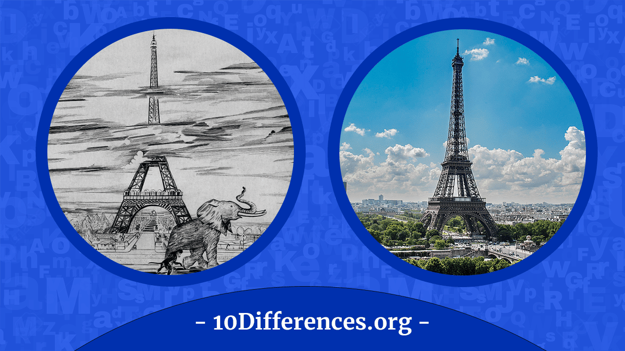 Diferencia entre 'apariencia' y 'realidad' Diferencia entre 'apariencia' y 'realidad'