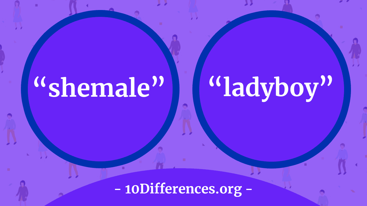 Diferencia entre ladyboy y shemale