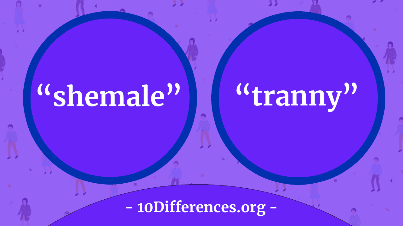 Diferencia entre transexual y transexual Diferencia entre transexual y transexual