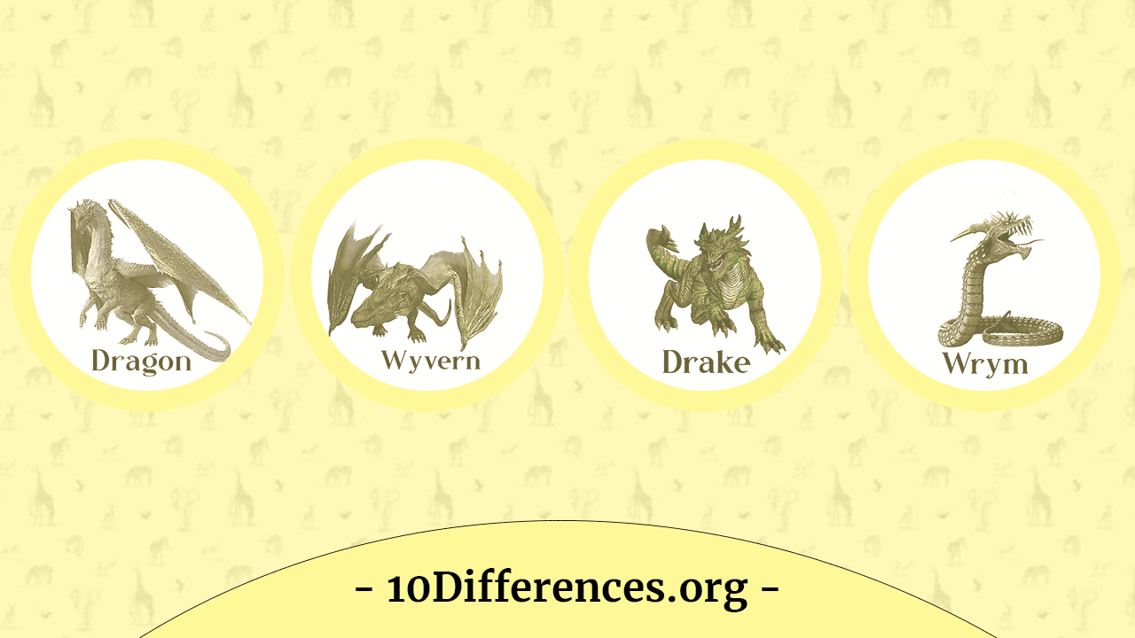 Dragon Vs Wyvern Vs Drake Vs Wyrm ¿Cuál es la diferencia? Ieb