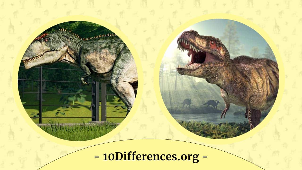 Giganotosaurus Vs Tyrannosaurus: ¿Cuál es la diferencia?