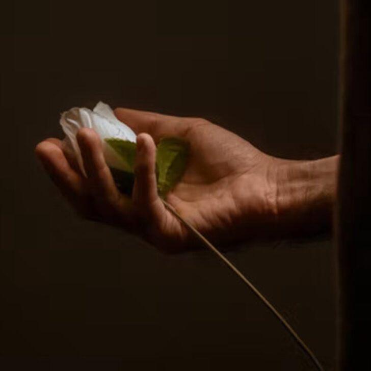 Te extrañaré VS Te extrañaré (Saberlo todo) - Todas las diferencias Te extrañaré VS Te extrañaré (Saberlo todo) - Todas las diferencias