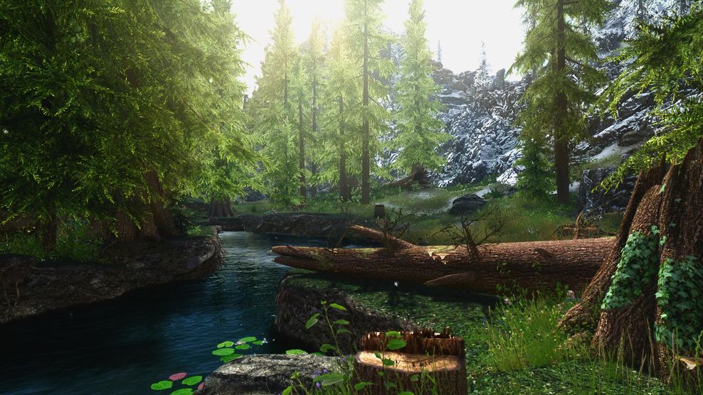 La imagen representa el paisaje de Skyrim. 
