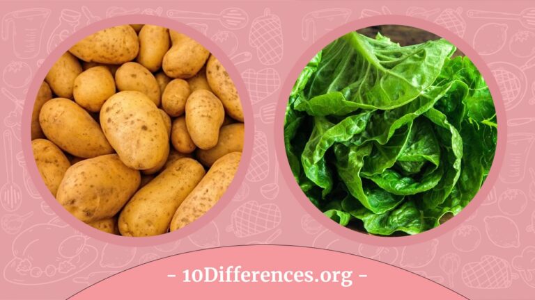 Verduras con almidón y sin almidón: ¿cuál es la diferencia? - Ieb ...