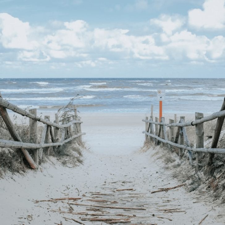 Mentalidad polaca VS sueca (Todo lo que necesitas saber) – Todas las diferencias