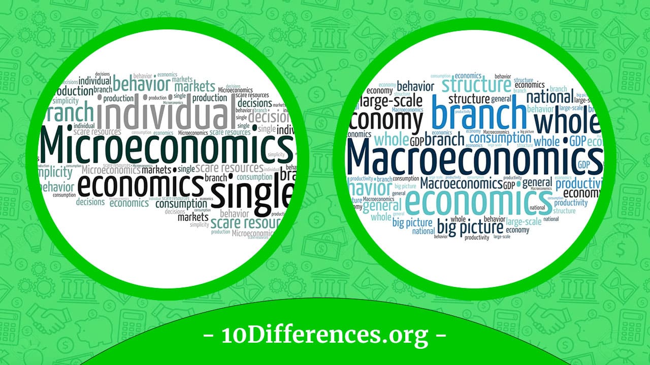 Diferencia entre microeconomía y macroeconomía Diferencia entre microeconomía y macroeconomía