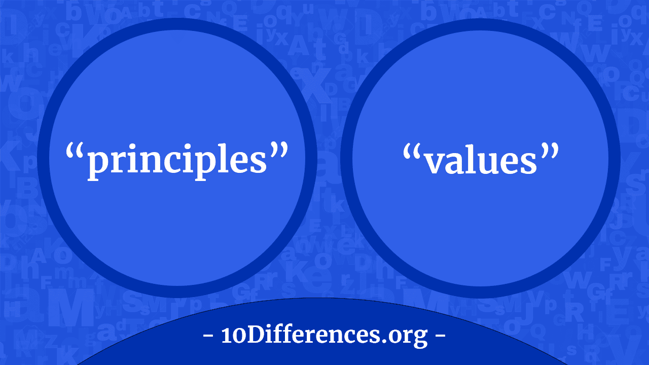 ¿Cuál es la diferencia entre principios y valores?