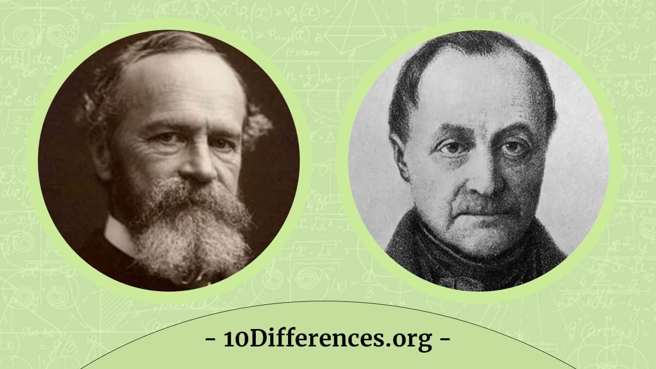 ¿Cuál es la diferencia entre psicología y sociología? ¿Cuál es la diferencia entre psicología y sociología?