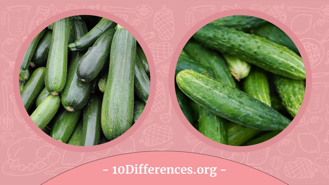 Calabacín vs Pepino: ¿Cuál es la diferencia? Calabacín vs Pepino: ¿Cuál es la diferencia?