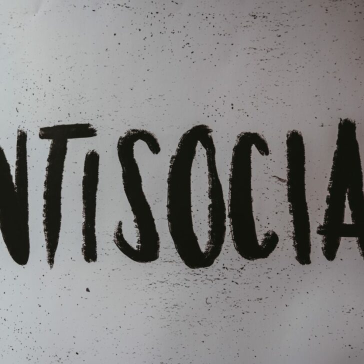 ¿Cuál es la diferencia entre asocial y antisocial? – Todas las diferencias