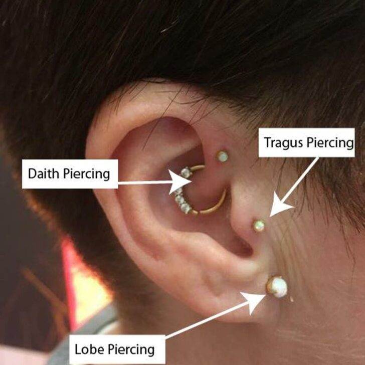 ¿Cuál es la diferencia entre un trago y un piercing Daith? (Explicado) – Todas las diferencias