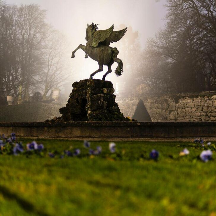 ¿Diferencia entre un unicornio, un alicornio y un pegaso? (Explicado) – Todas las diferencias