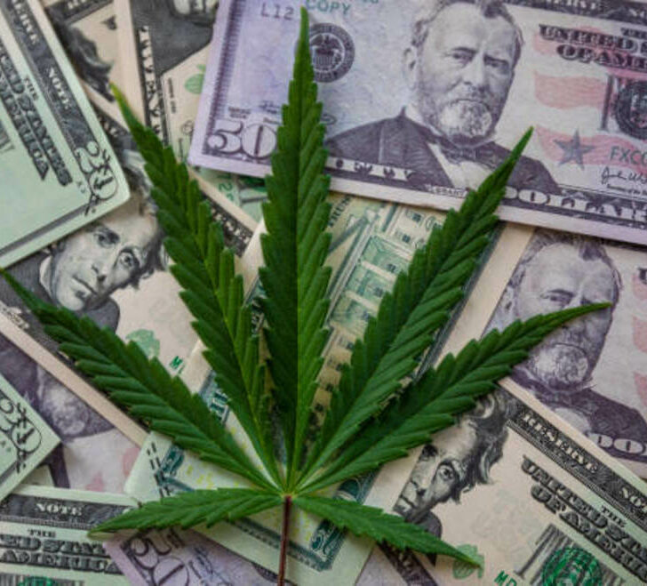 La diferencia entre el Cartel y la Mafia- (Todo lo que necesitas saber) – Todas las diferencias La diferencia entre el Cartel y la Mafia- (Todo lo que necesitas saber) – Todas las diferencias