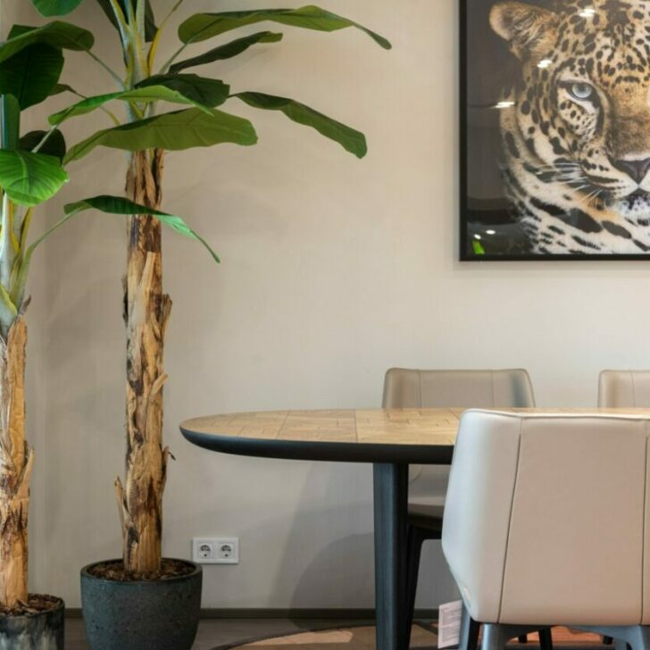 ¿Cuáles son las diferencias entre un guepardo, un leopardo y un jaguar? (Explicado) – Todas las diferencias ¿Cuáles son las diferencias entre un guepardo, un leopardo y un jaguar? (Explicado) – Todas las diferencias