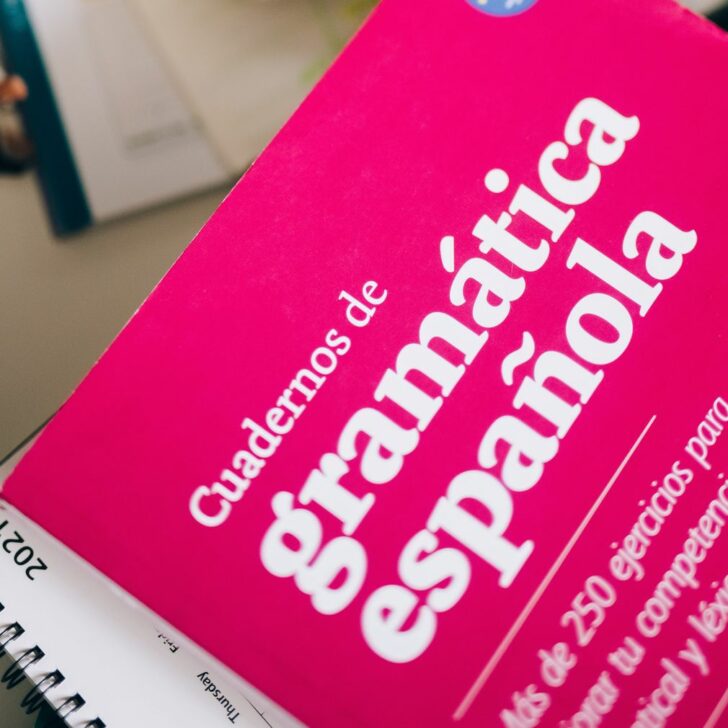 ¿Cuál es la diferencia entre 'Búho' y 'Lechuza'? (Explicado) – Todas las diferencias ¿Cuál es la diferencia entre 'Búho' y 'Lechuza'? (Explicado) – Todas las diferencias