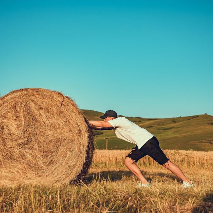 ¿Cuál es la diferencia entre una fuerza activa y una reactiva? (El contraste) - Todas las diferencias ¿Cuál es la diferencia entre una fuerza activa y una reactiva? (El contraste) - Todas las diferencias
